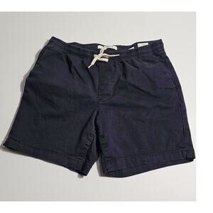 Pac Sun Volley Shorts Mens Small